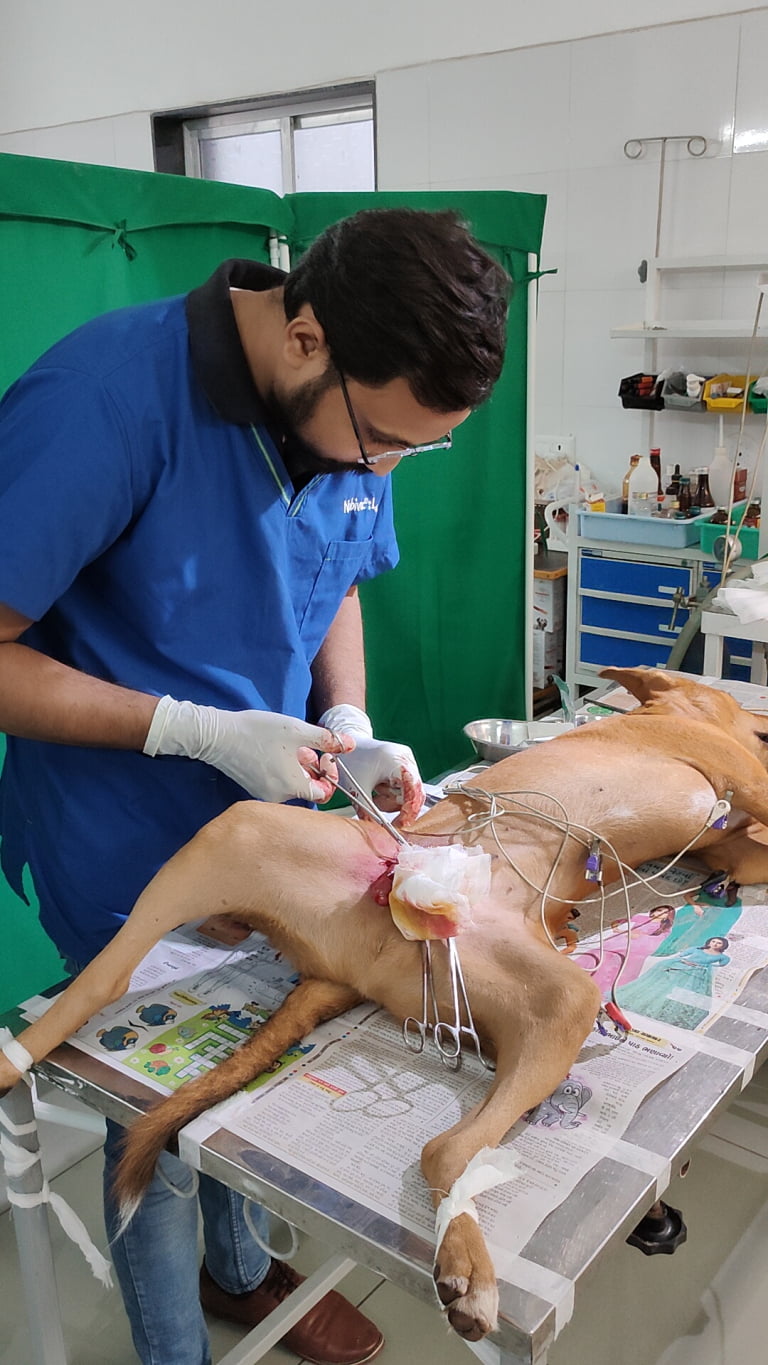 IMG20230710154728_01