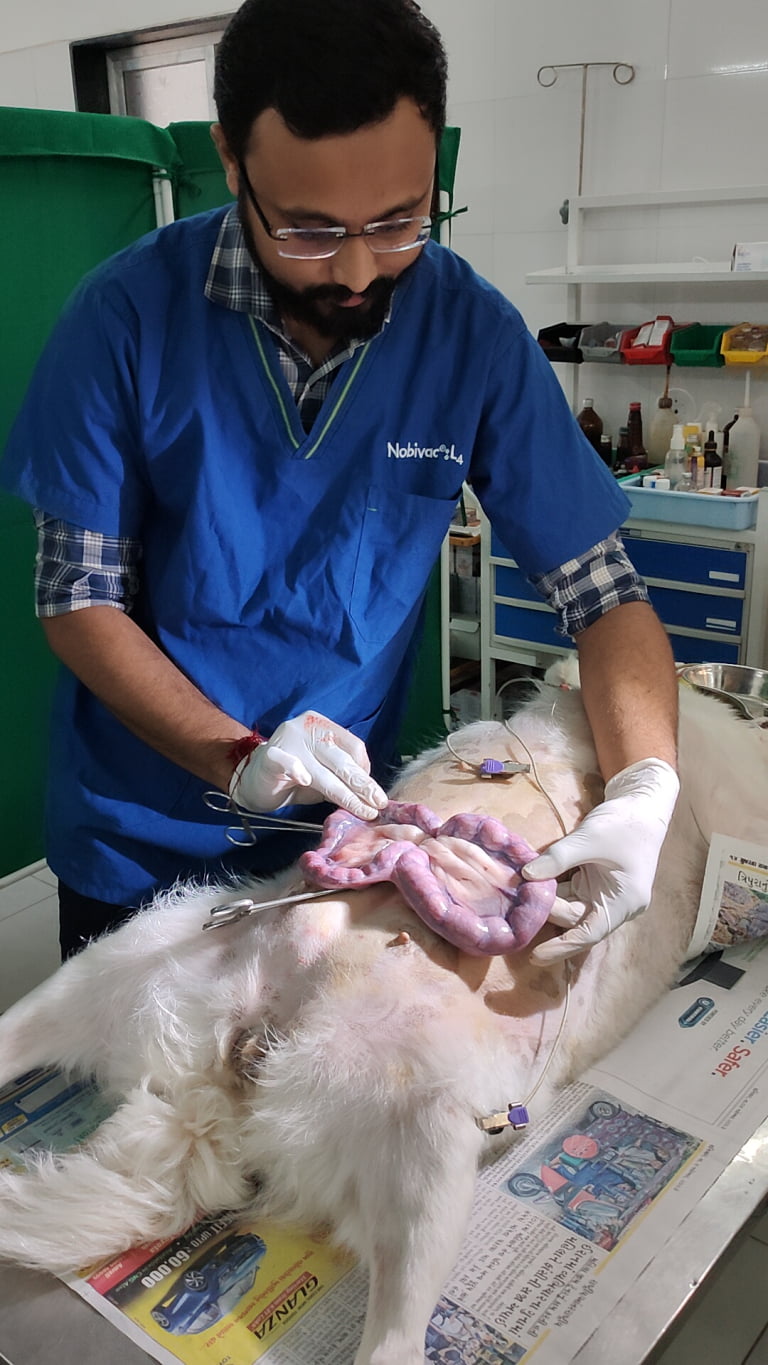 IMG20231107153705_01