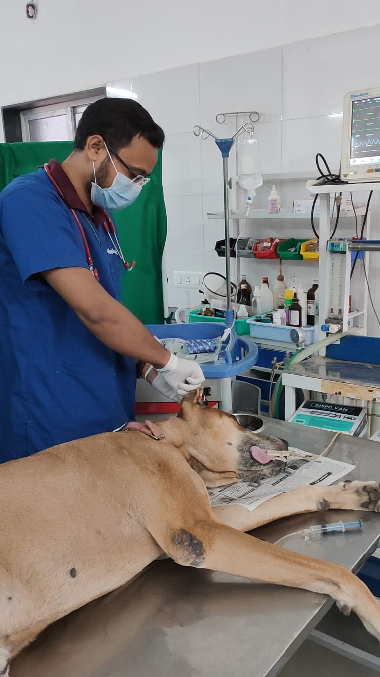 IMG20240103094629_01