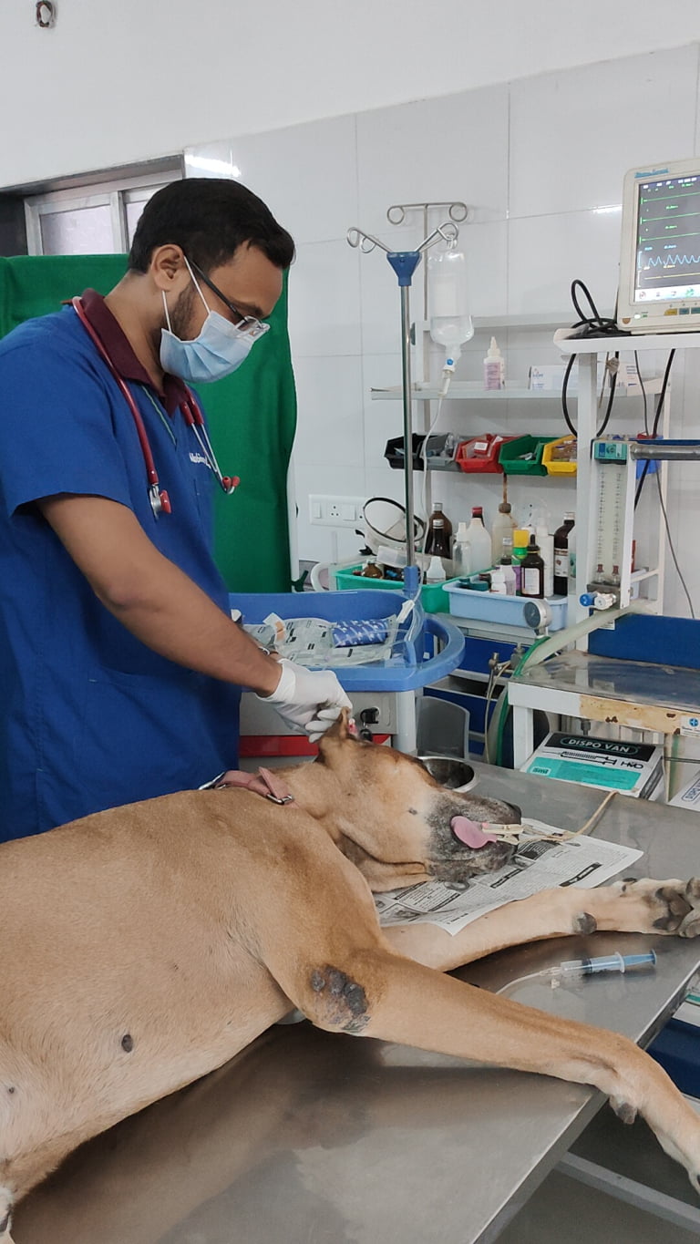 IMG20240103094631_01