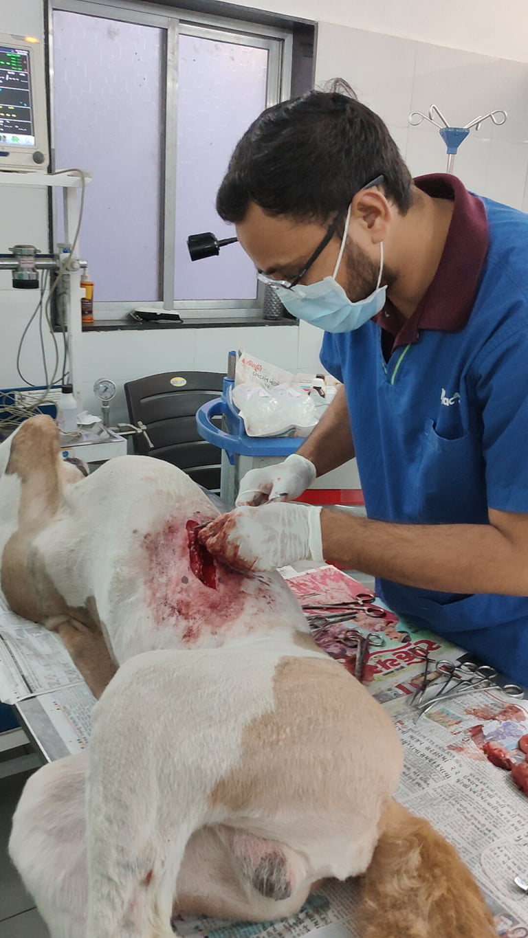 IMG20240103163105_01